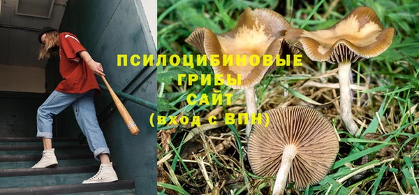 a pvp Нефтекумск