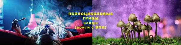 спиды Наволоки