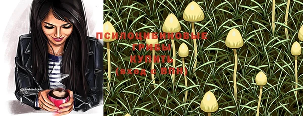альфа пвп Нефтегорск
